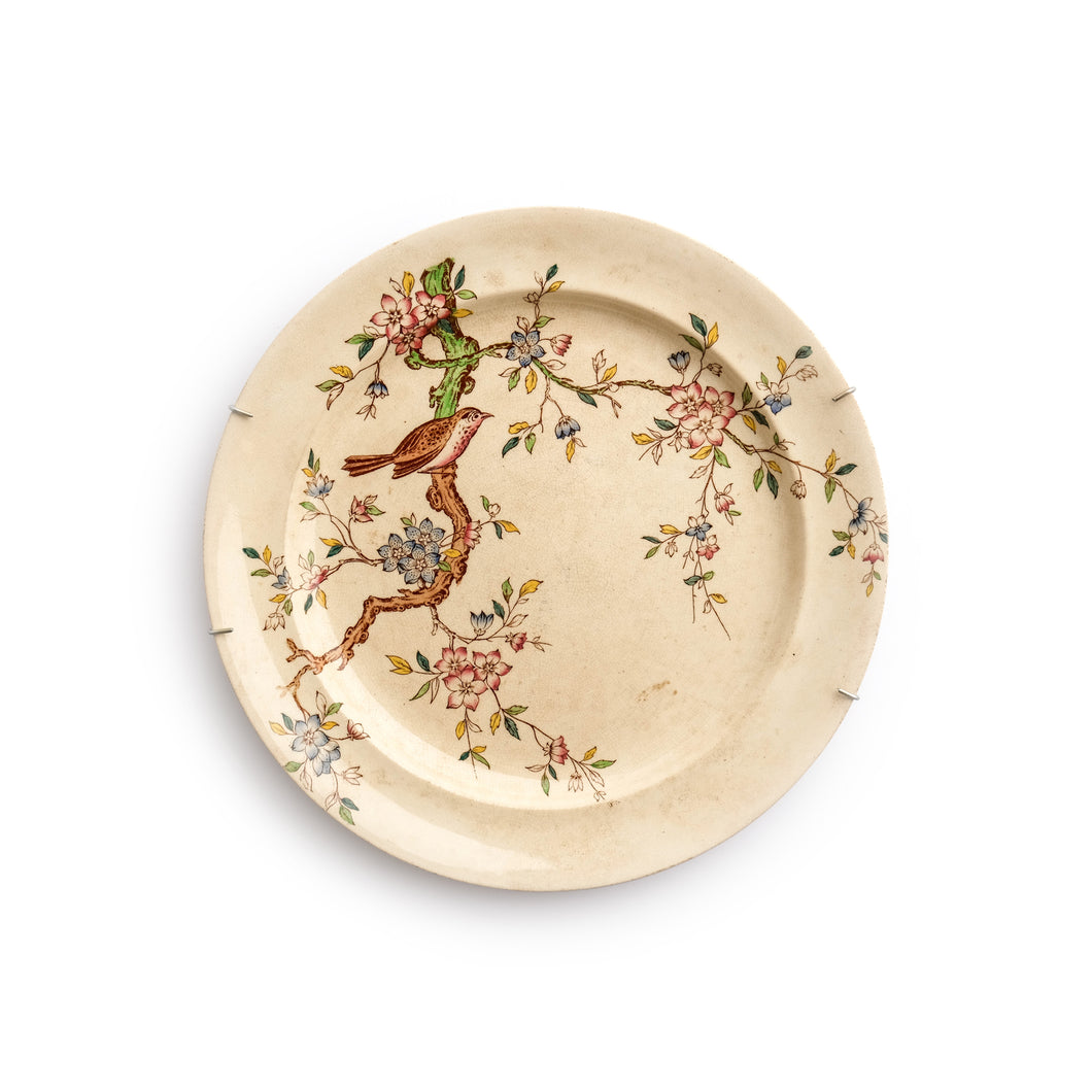 Vintage Superior English Ceramic JD & S Plate