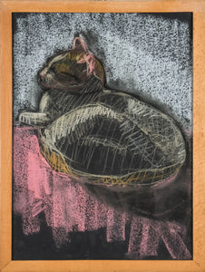 Seba